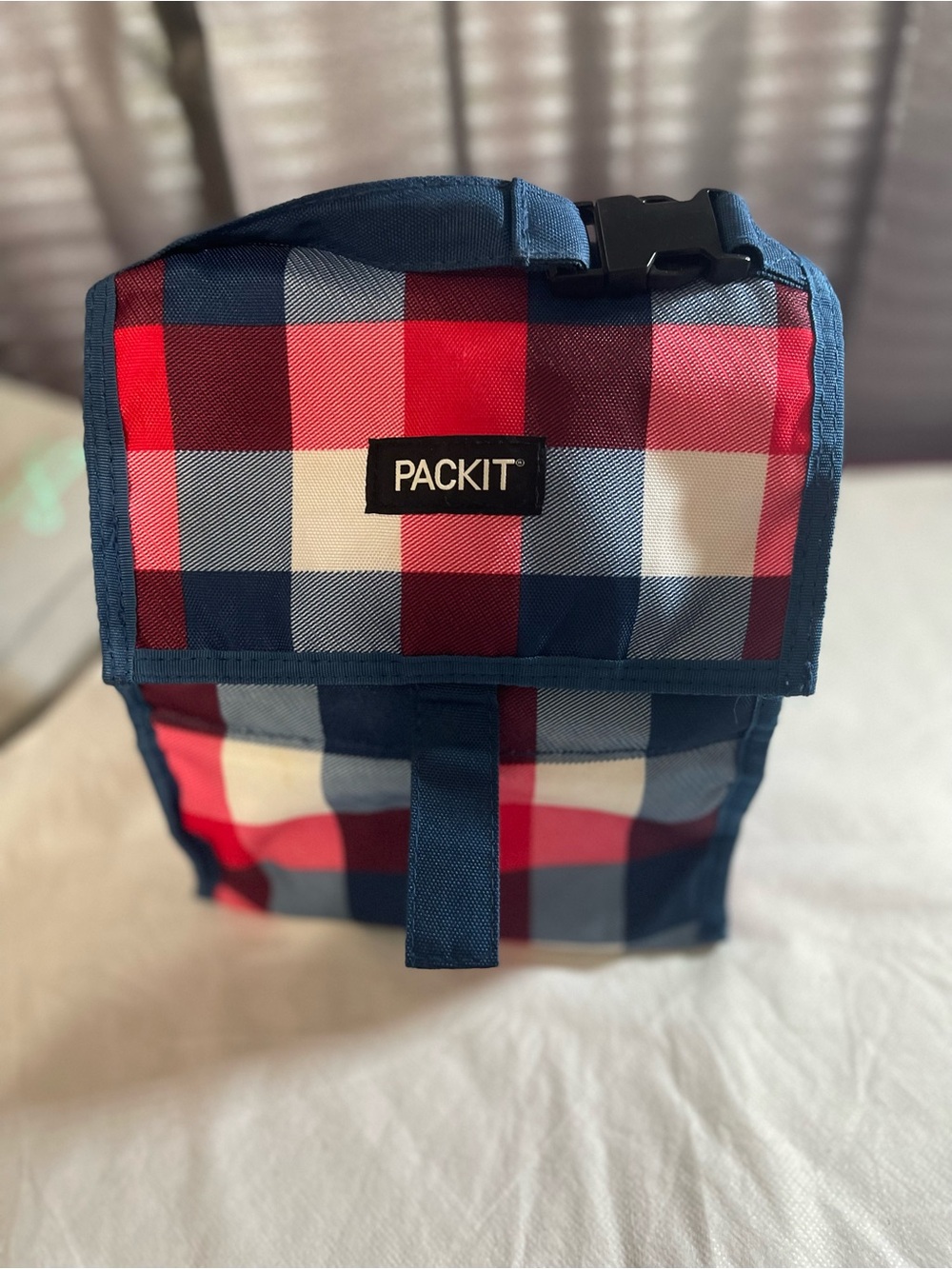 Insulated Plaid Lunch Bag in Red & Blue